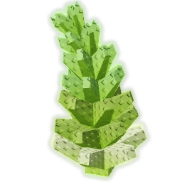 Romanesco fruit for Grow Garden