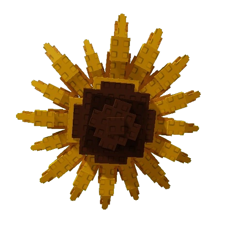 Sunflower Seed fruit for Grow Garden